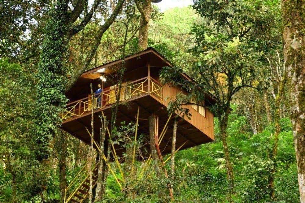 Seven Springs Resort Муннар Экстерьер фото